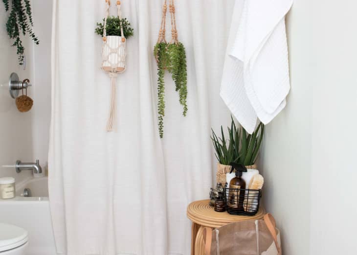 Pretty top toilet brush